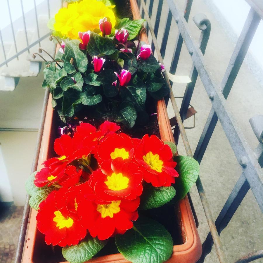 Delizioso Appartamento In Corte Vittuone Exterior foto